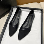 Damen elegante Ballerinas mit spitzem Zehenbereich EB